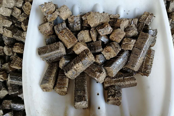 Biomass briquette